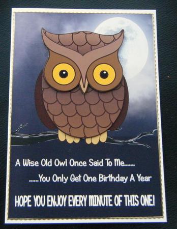 Wise Old Owl by Charlie Angel