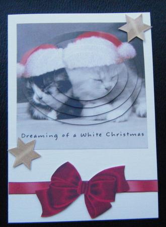Cute Little Kitties Wearing Santa Hats Oval Pyramids by Charlie Angel