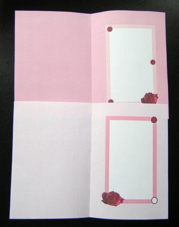 A6 Portrait Insert Double Project Sheet with Roses by Charlie Angel