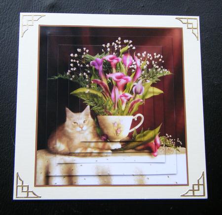 Cat and Calla Lillies by Charlie Angel