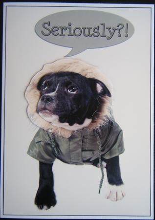 Staffordshire Bull Terrier Pup Card Front by Charlie Angel