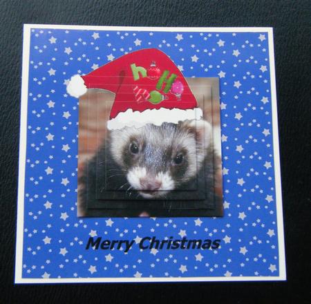 Pretty Ferret in Santa Hat 8 x 8 Card Front by Charlie Angel