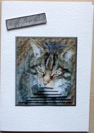 Tabby Cat Portrait Pyramid by Hilary Shemmans