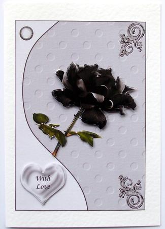 Black Rose with Love by Hilary Shemmans
