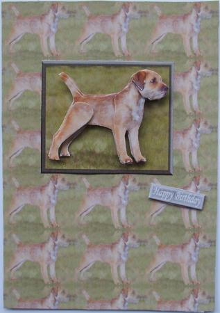 Border Terrier 3D Decoupage with Background by Hilary Shemmans