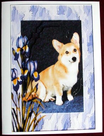 Corgi with Irises by Hilary Shemmans