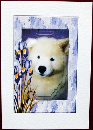 White Samoyed Puppy with Irises by Hilary Shemmans