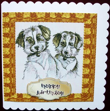 Golden Bandana Dogs for Birthday Anniversary Best Friend by Hilary Shemmans