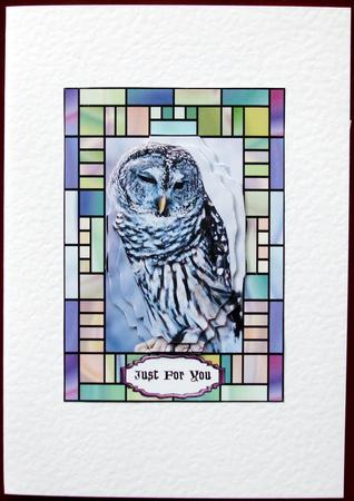 Barred Owl in Stained Glass by Hilary Shemmans