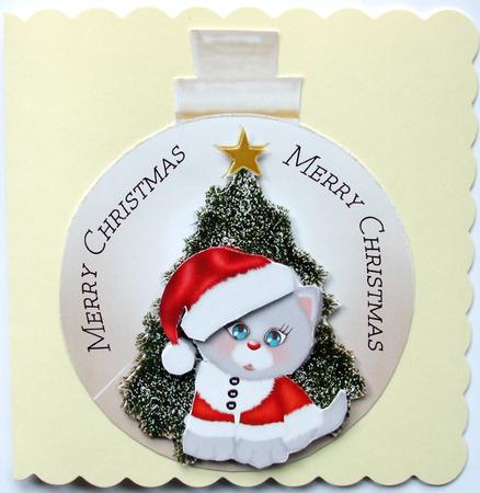Christmas Kitten by Hilary Shemmans