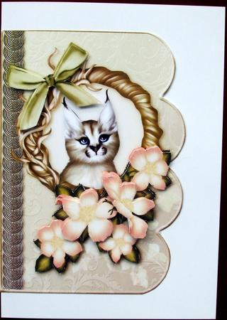 In t Net Lynx Scalloped Edge Card Decoupage by Hilary Shemmans