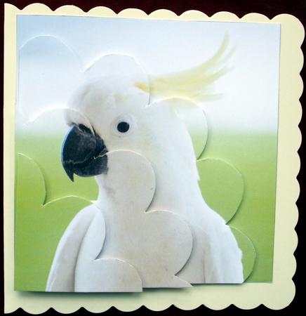 White Cockatoo Shell Edged Corner Stacker by Hilary Shemmans