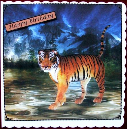Mountain Tiger Topper by Hilary Shemmans