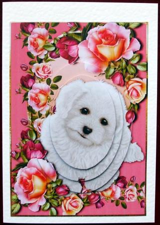 Poodle Puppy & Romantica Roses Oval Pyramid by Hilary Shemmans