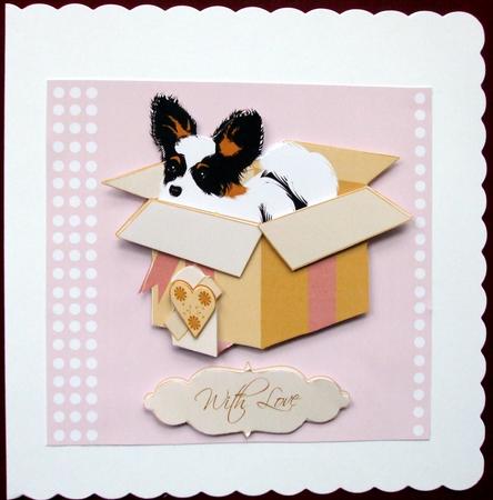 Papillon with Love by Hilary Shemmans