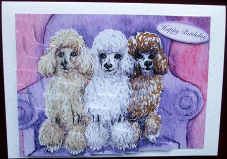 A Pack of Poodles Wavy Corner Stacker Topper by Hilary Shemmans