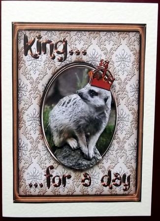 King for a Day Meerkat - Happy Birthday by Hilary Shemmans