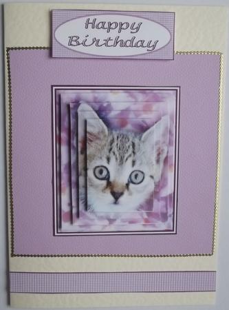 Little Kitten Pyramid by Hilary Shemmans