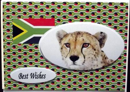 A Touch of Africa by Hilary Shemmans