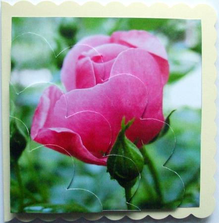 Pink Rose Shell Edged Corner Stacker by Hilary Shemmans