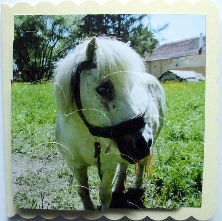 White Horse Shell Edged Corner Stacker by Hilary Shemmans