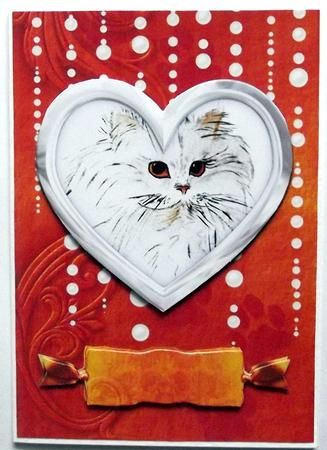 Cute Kitty by Hilary Shemmans