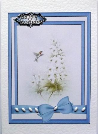Humming Bird in Blue Frame by Hilary Shemmans