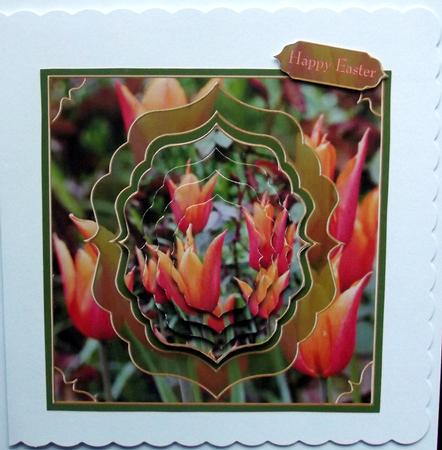 Glorious Tulips by Hilary Shemmans