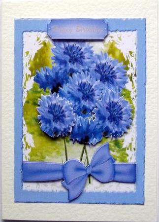 Beautiful Blue Corn Flowers by Hilary Shemmans