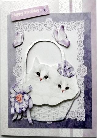 Cute Fluffy Cats in Basket by Hilary Shemmans