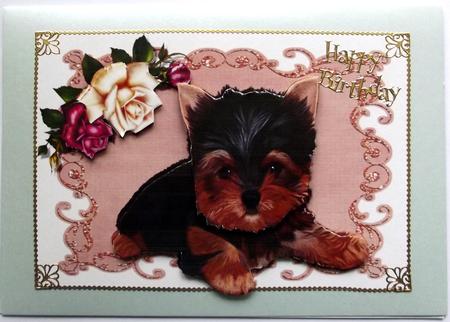 Cute Yorkie Puppy by Hilary Shemmans