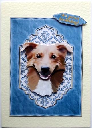 Smiling Dog! Birthday, Best Friend, You're Grrr-eat! by Hilary Shemmans