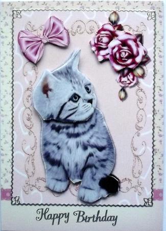 Cute Fluffy Grey Kitten by Hilary Shemmans