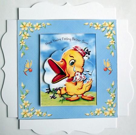 Get Well Soon with Quackers by Hilary Shemmans