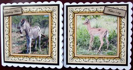 Zebra and a Fawn Toppers by Hilary Shemmans