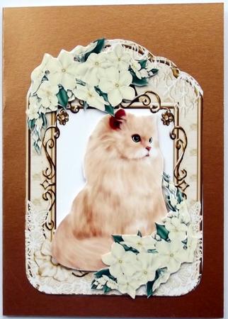 Persian Ginger Cat in Floral Lace Frame by Hilary Shemmans