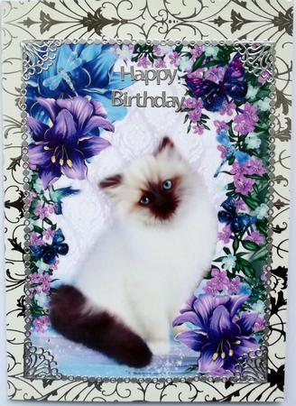 White Fluffy Persian Kitten with Fantasy Design A4 by Hilary Shemmans