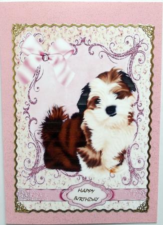 Adorable Shitzu Puppy A4 by Hilary Shemmans