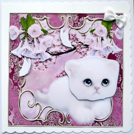 Little White Kitty with Pink Blossoms 8x8 by Hilary Shemmans