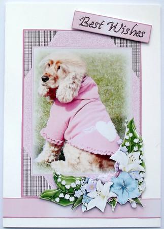 Poppy the Dog Topper by Hilary Shemmans
