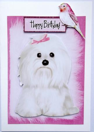 Cute Little Westie with Pink Bird by Hilary Shemmans