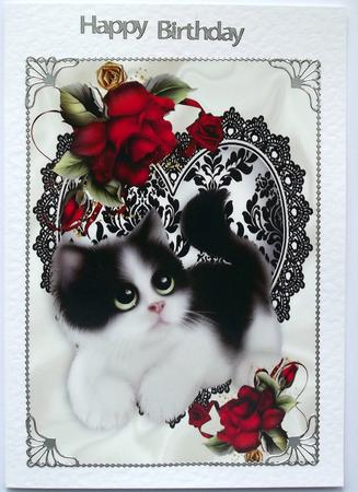 Cute Kitten on Lace Heart with Red Roses A4 by Hilary Shemmans