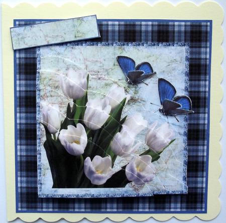 Tulips and Butterflies by Hilary Shemmans