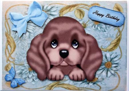 Cute Brown Puppy by Hilary Shemmans