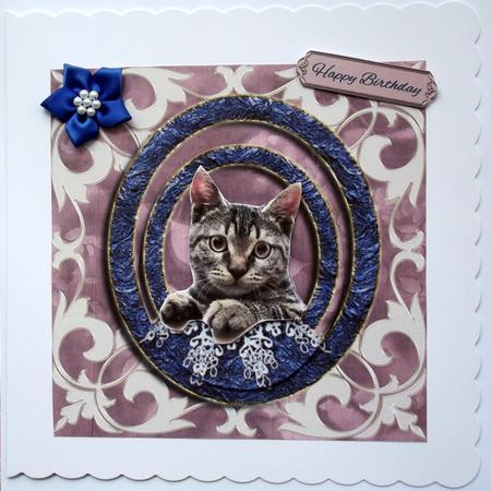 You're Purrfect Framed Tabby Cat by Hilary Shemmans