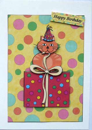 Birthday Cat on a Present by Hilary Shemmans