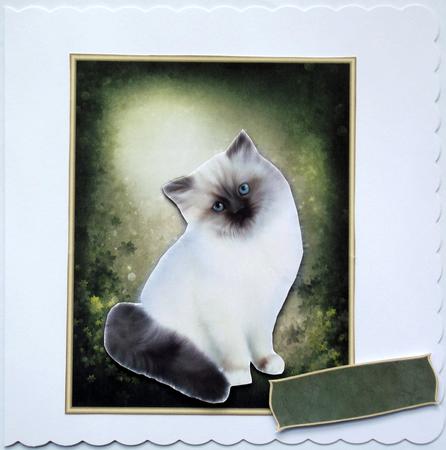Sweet Kitten Card Topper 1 by Hilary Shemmans