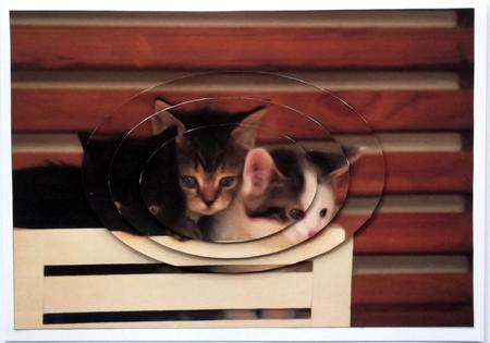 Cute Kittens Oval Pyramid by Hilary Shemmans