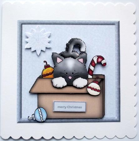 Cat in the Box Card Front with Decoupage by Hilary Shemmans