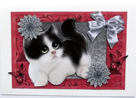 Cute Black & White Kitten with Grey Flowers by Hilary Shemmans